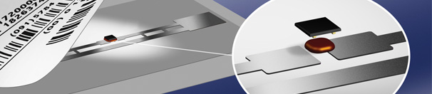 1451834369646821.jpg 0012.jpg